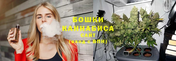 шишки Абдулино